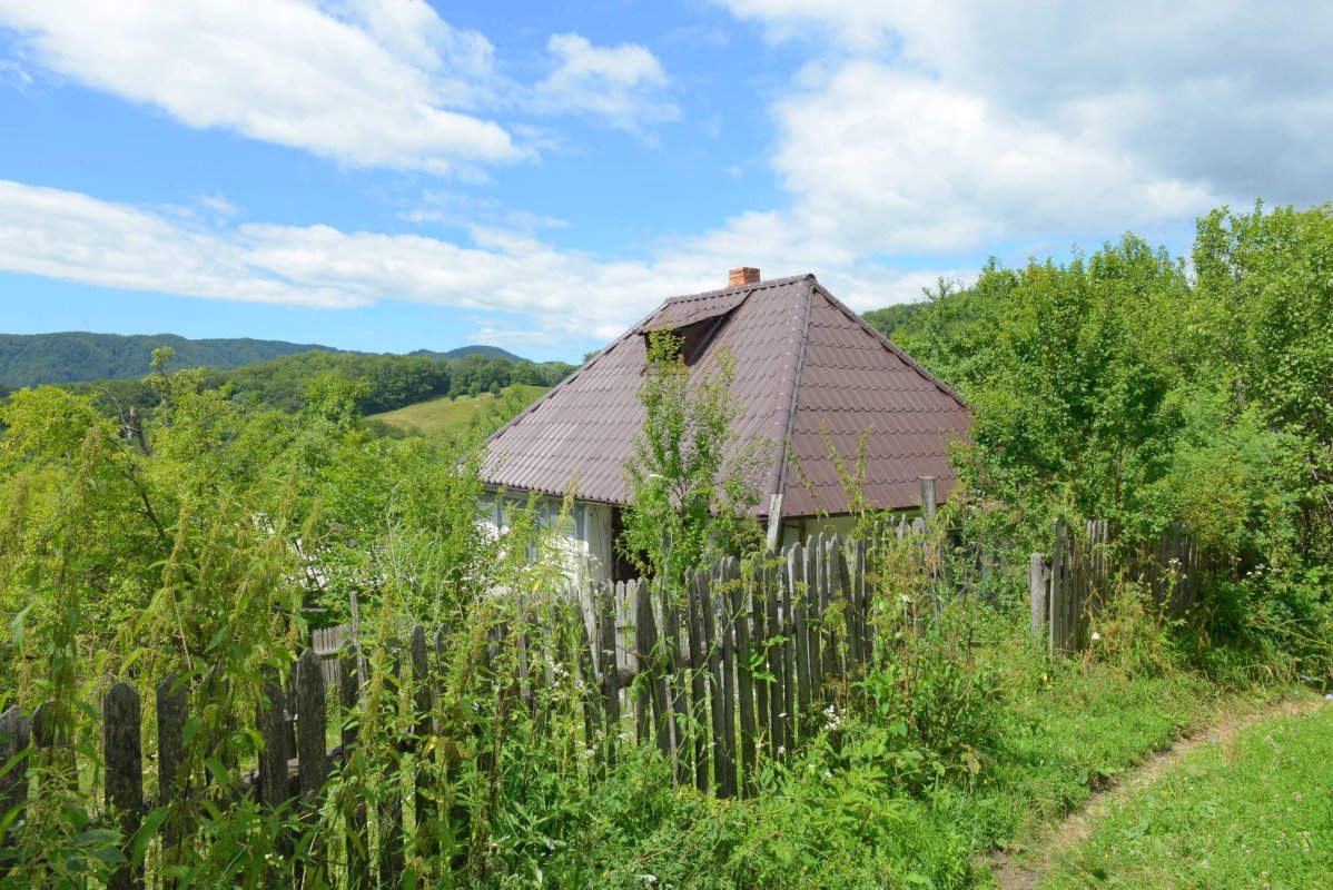 Despre un alt fel de fericire, cu pustnica Fotini 51533