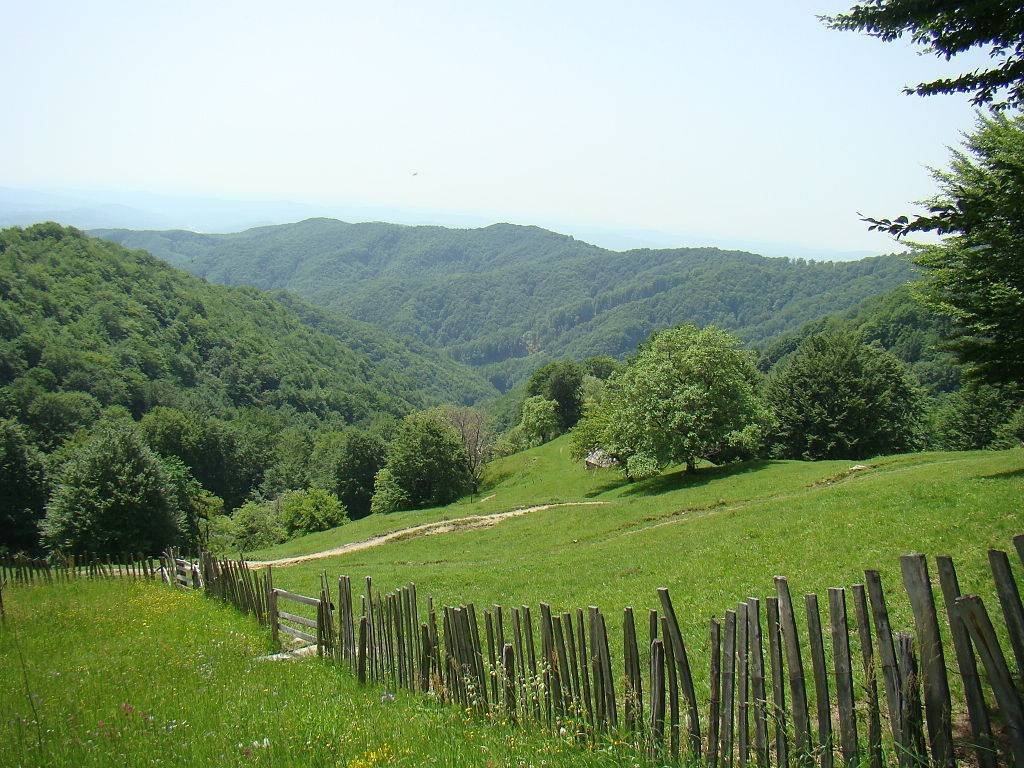 Despre un alt fel de fericire, cu pustnica Fotini 51537