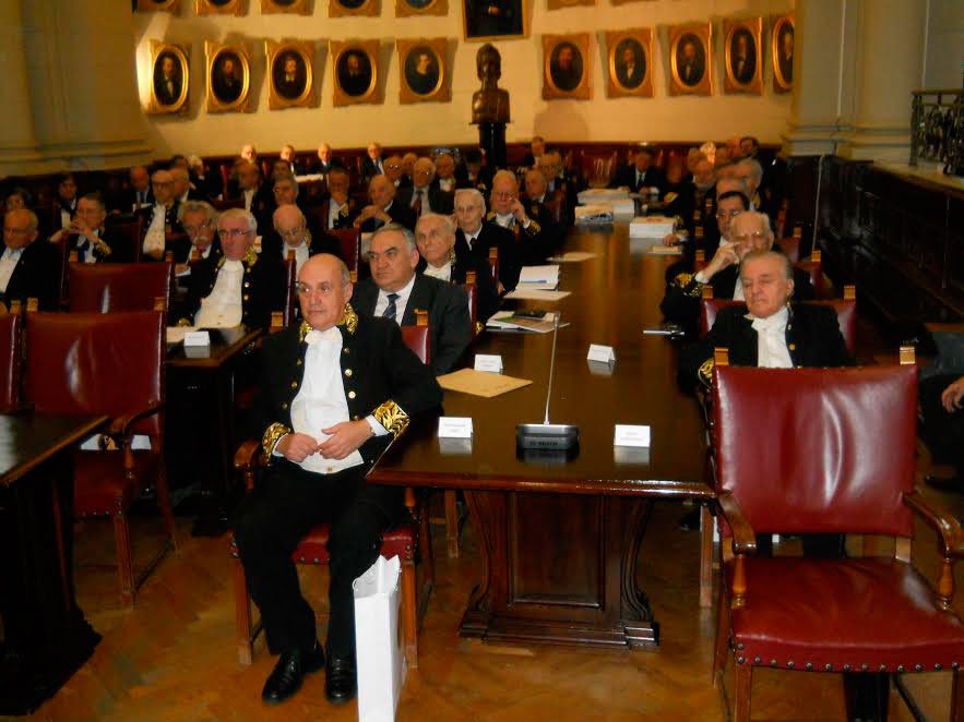 Academia Română propune propriul proiect de ţară 51387