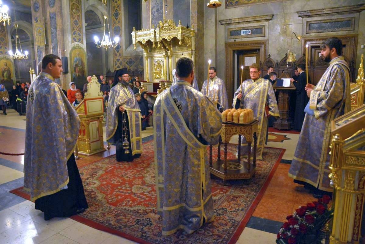 „Ne dorim să simţim din plin rugăciunea Sfântului Neofit“ 51205