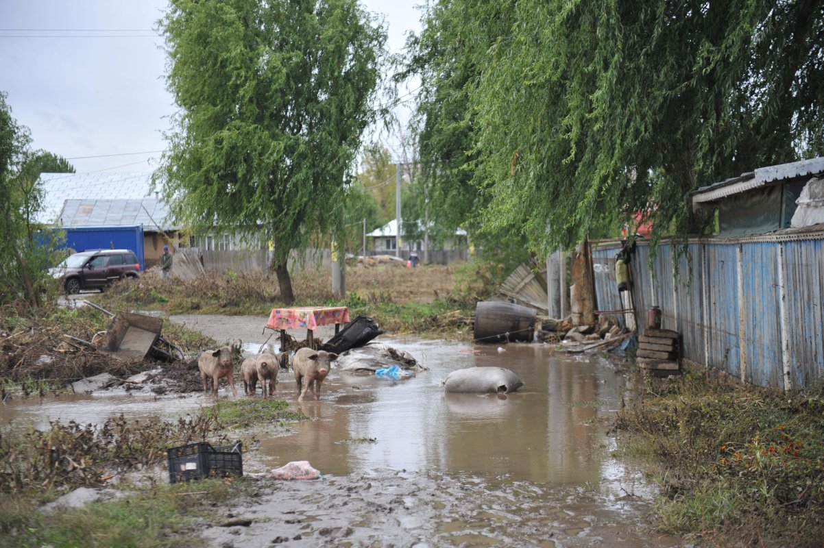 O mână întinsă către cei năpăstuiți 51096