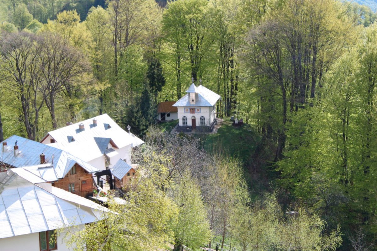 Praznicul Sfintei Parascheva în Mitropolia Olteniei 51125