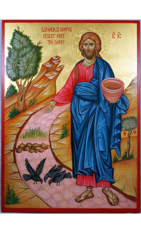 Dascălul și educația ca sămânță 51195