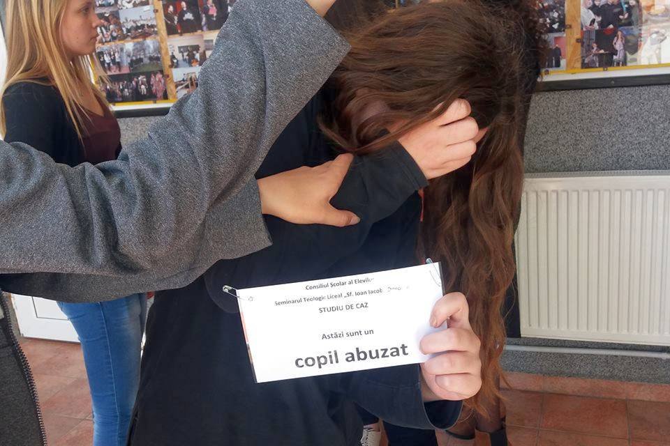 Studiu de caz despre grupurile vulnerabile, la Seminarul Teologic Ortodox din Dorohoi 50764