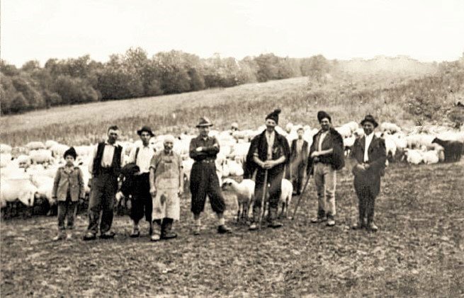 Expoziție despre transhumanţa mocanilor bârsani în Dobrogea, deschisă la Brașov 50269