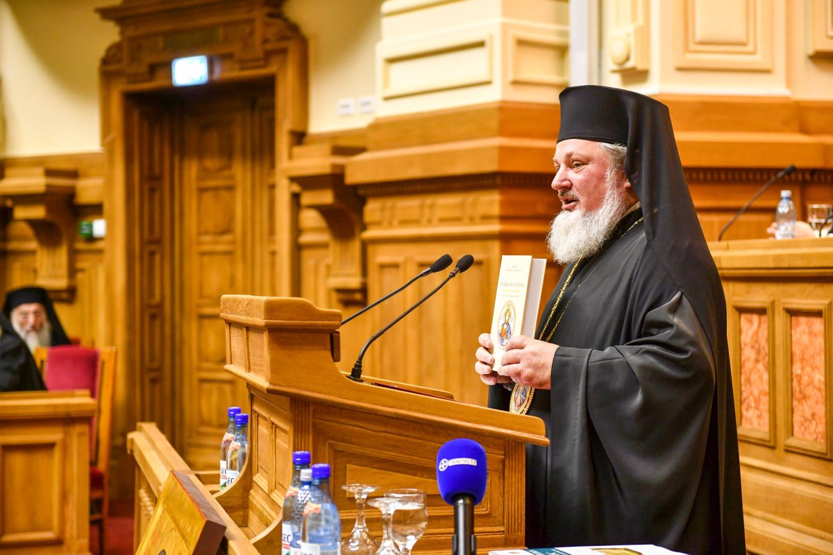 Raport-sinteză privind activitățile din anul 2016 50213