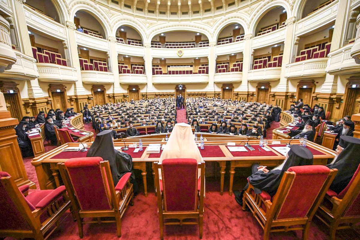 Raport-sinteză privind activitățile din anul 2016 50214