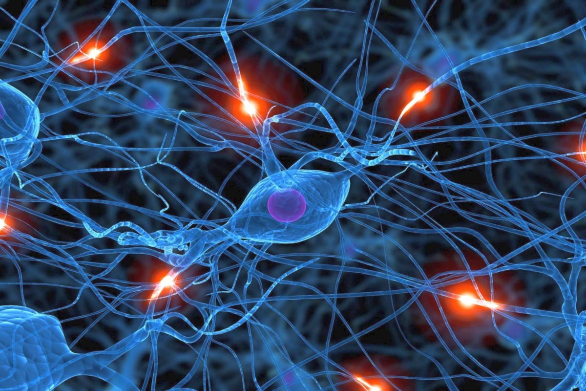 Comunitatea zidește persoana umană 50156