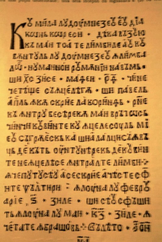 Parteneriat şcolar european la Liceul Ortodox din Oradea 50082