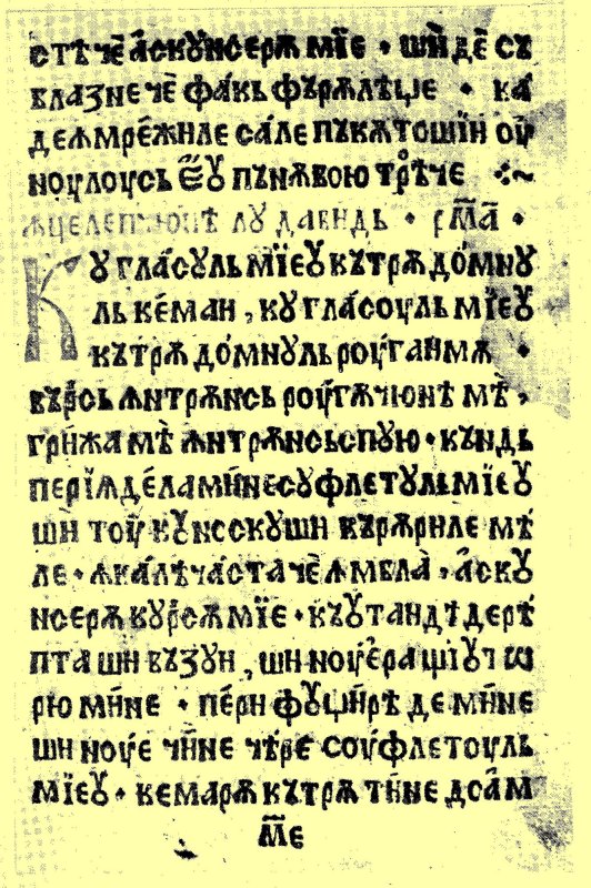 Parteneriat şcolar european la Liceul Ortodox din Oradea 50083