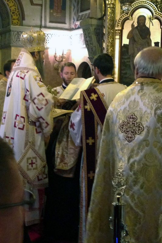 Slujiri arhierești în Mitropolia Banatului 50056