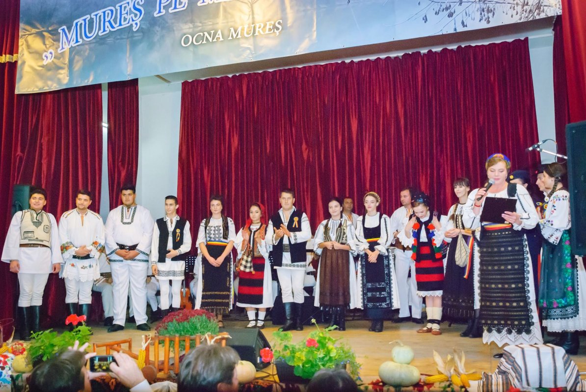 „Mureş pe marginea ta”, concurs pentru tineri interpreţi la Ocna Mureș 49974