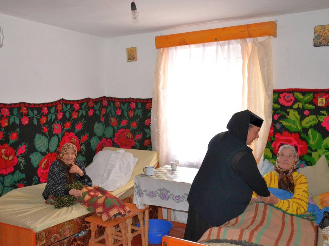 Blândele bunici din Dumbrava Minunată 49650