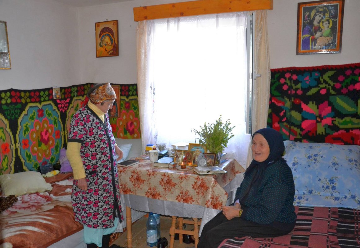 Blândele bunici din Dumbrava Minunată 49652