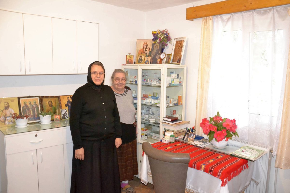 Blândele bunici din Dumbrava Minunată 49653