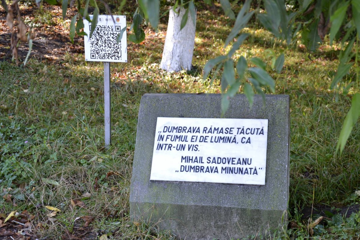 Blândele bunici din Dumbrava Minunată 49654