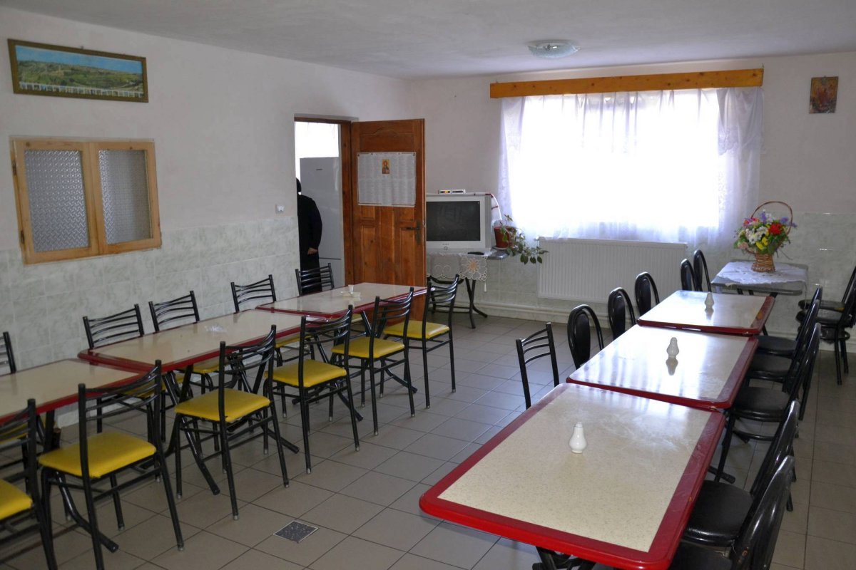 Blândele bunici din Dumbrava Minunată 49656