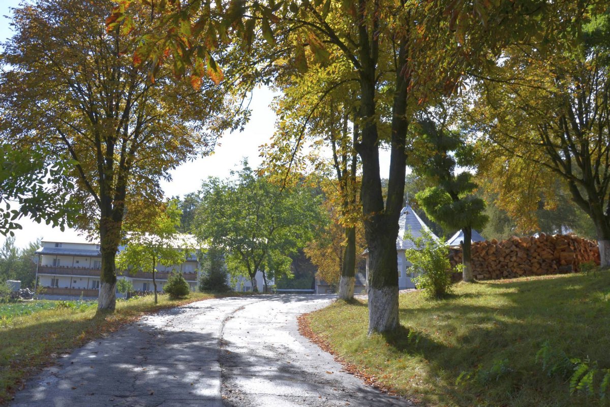 Blândele bunici din Dumbrava Minunată 49658