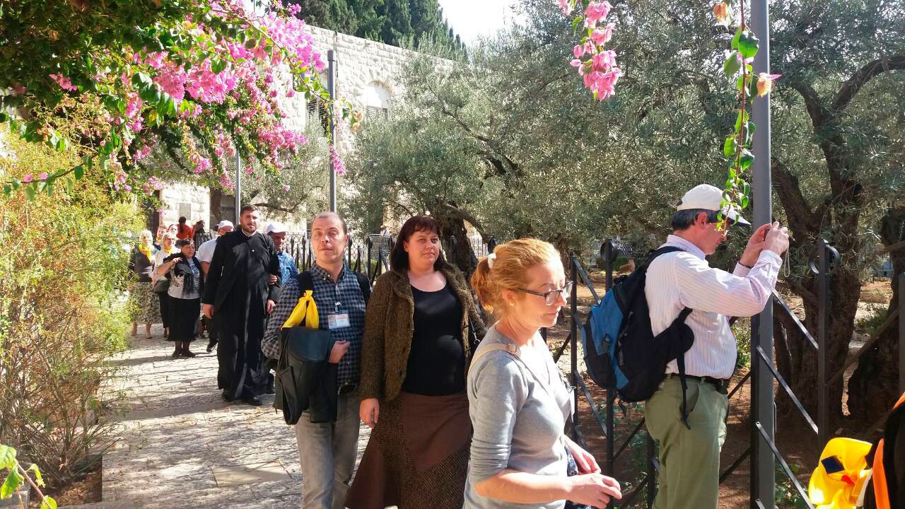 Pelerini nevăzători în Ţara Sfântă 49096