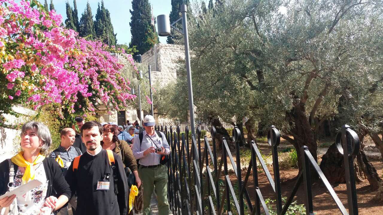 Pelerini nevăzători în Ţara Sfântă 49097