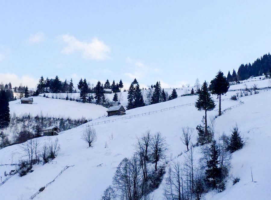 Românii preferă Crăciunul în familie 49117