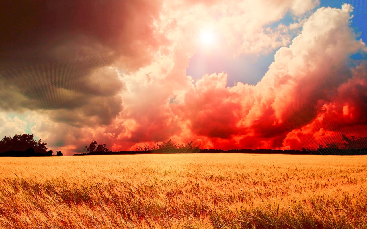 Revendicarea neantului 48474