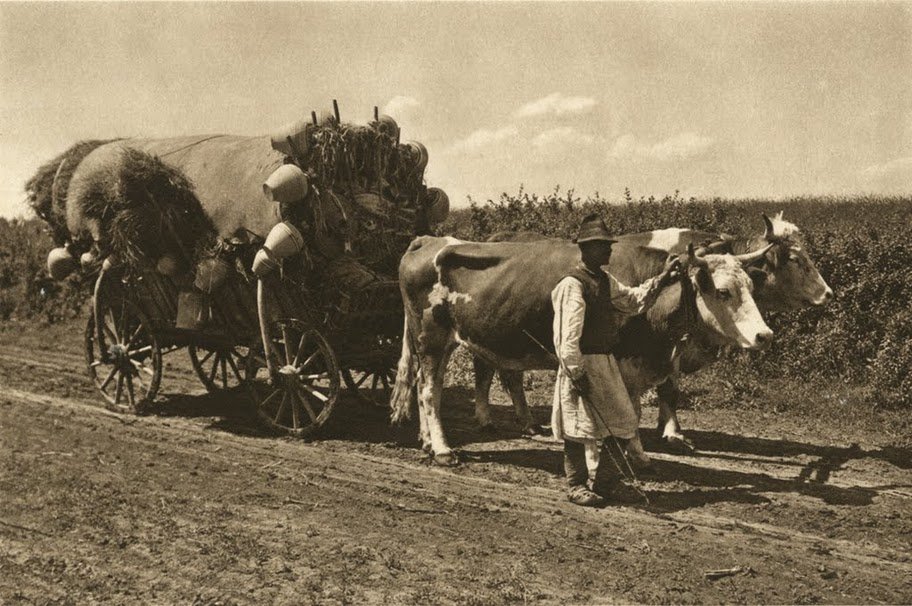 România și românii văzuți prin ochii străinilor 48336