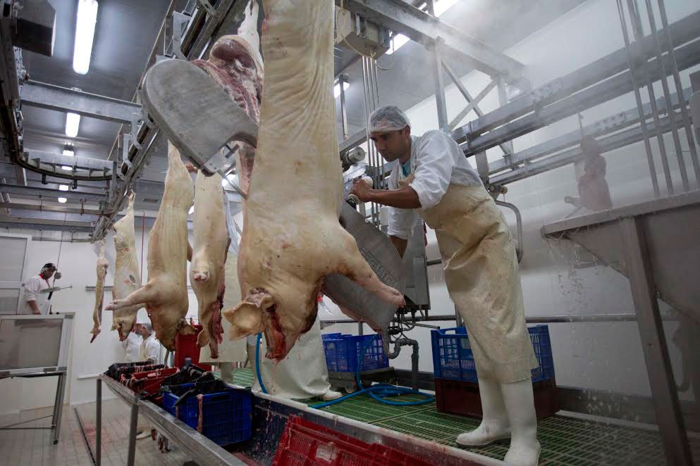 Achiziționați alimentele de sărbători din spații autorizate 48326