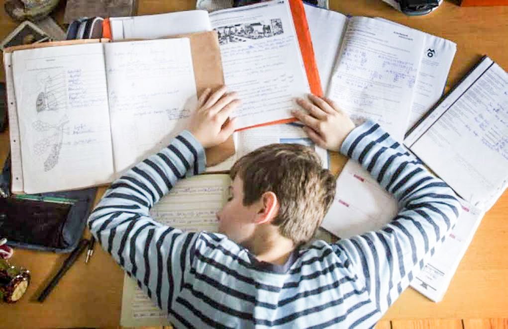 Cel mult opt ore pe zi pentru activități școlare 47688