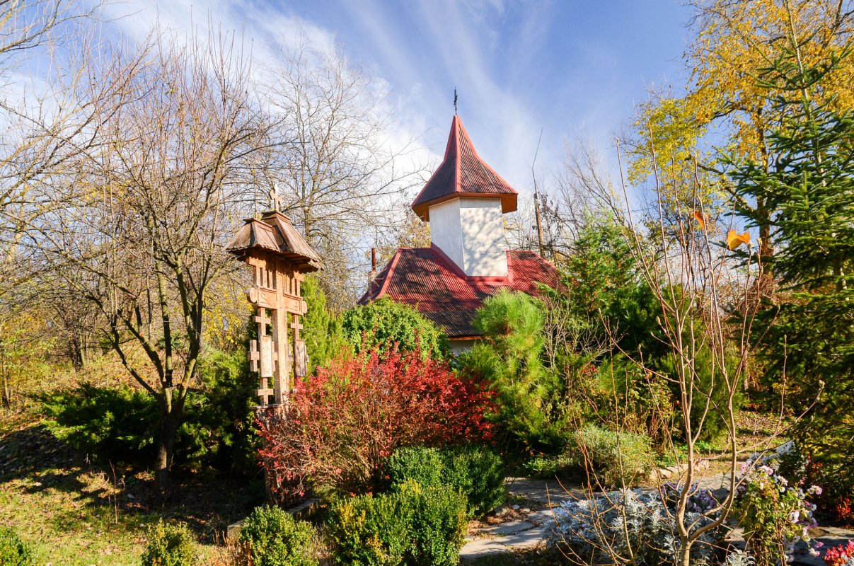 Locul unde glonțul a fost preschimbat în cruce 47647