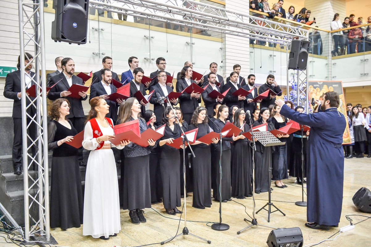 Mângâiere în suferință, adusă copiilor 47559