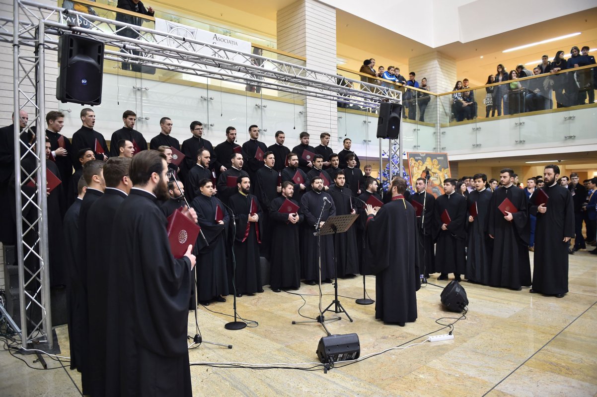 Mângâiere în suferință, adusă copiilor 47564