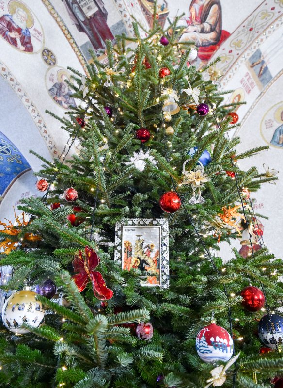 Bucuria întâlnirii cu Pruncul Mântuitor 47226