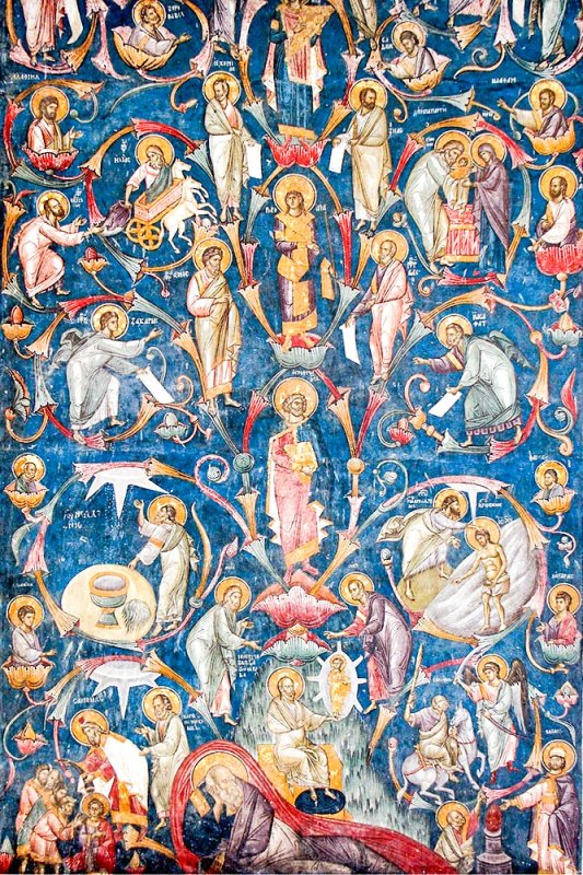 „Nu I-a fost rușine deloc de păcatele noastre” 47086