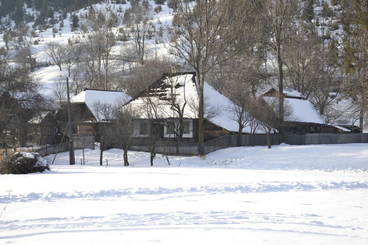 „Colinda ca manifestare de cultură tradițională va persista, dar nu în vatra satului” 47162