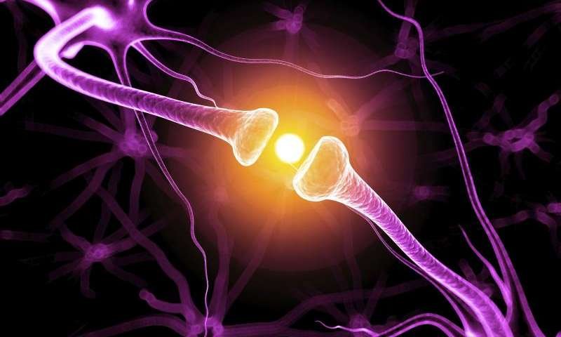 Trecerea timpului şi înnoirea vieţii omeneşti 47132