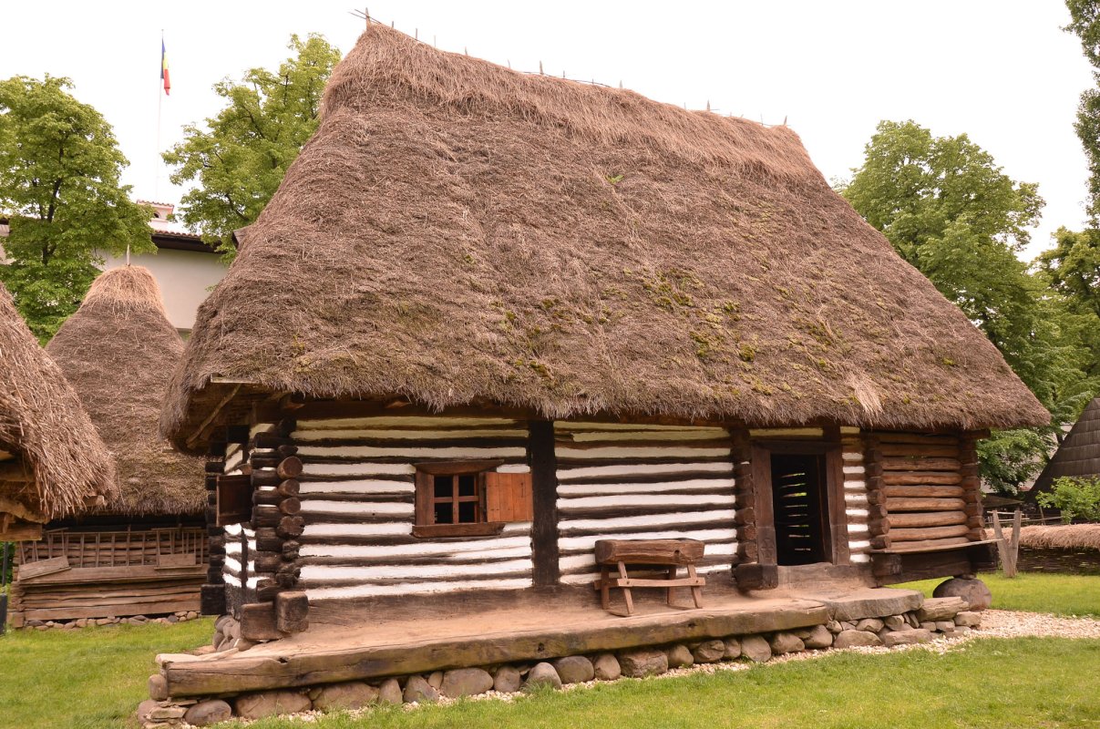 Scripca maestrului 47031