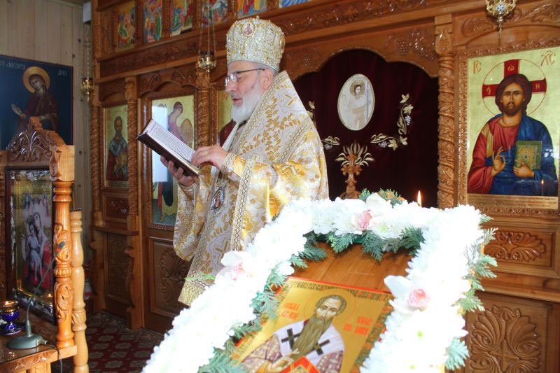 Prima zi a anului în Muntenia şi Dobrogea 46776