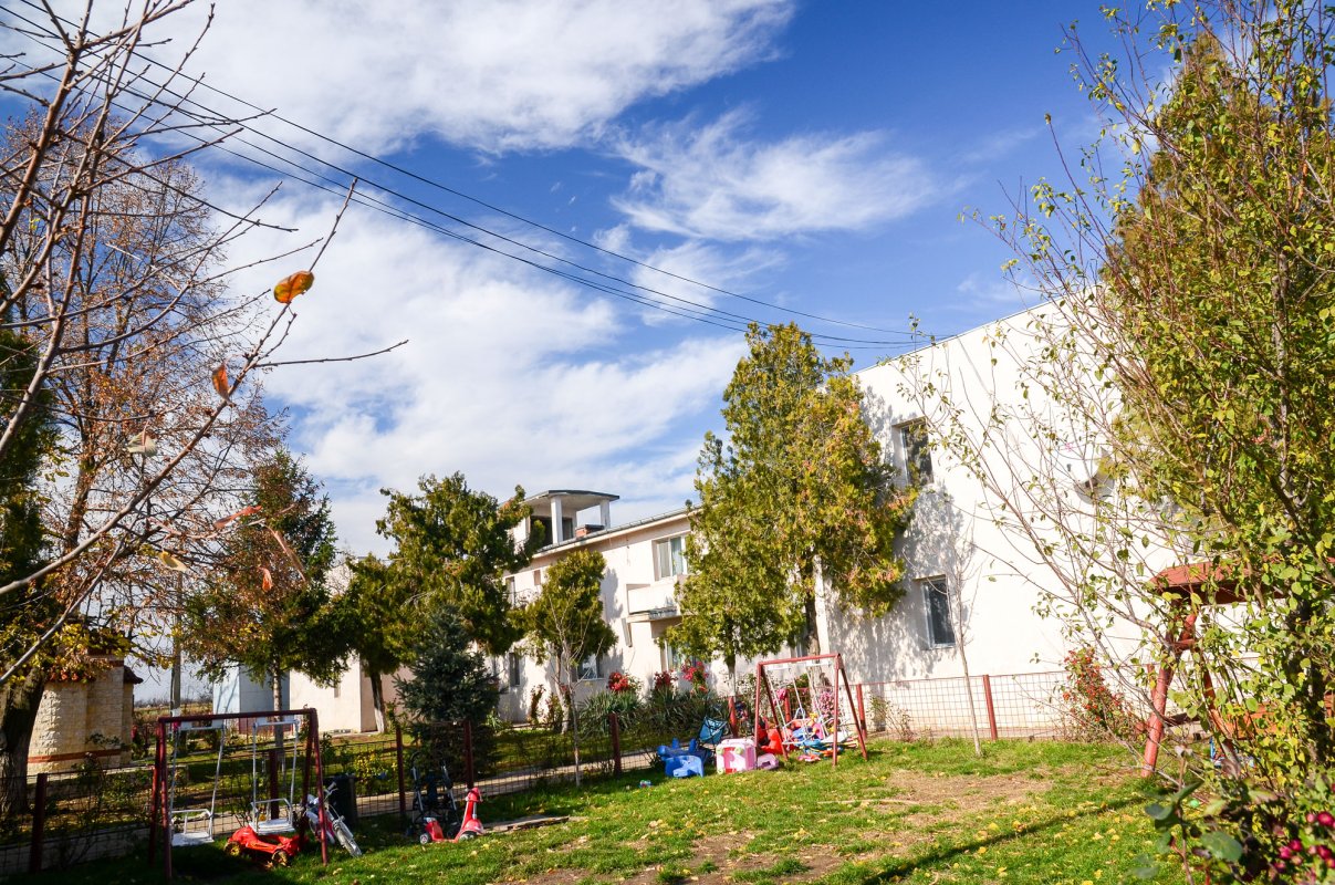 Lecție despre fericire și recunoștință 46716