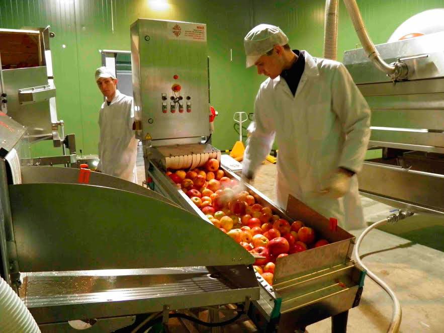 Fonduri pentru fermierii care cultivă soiuri româneşti 46593