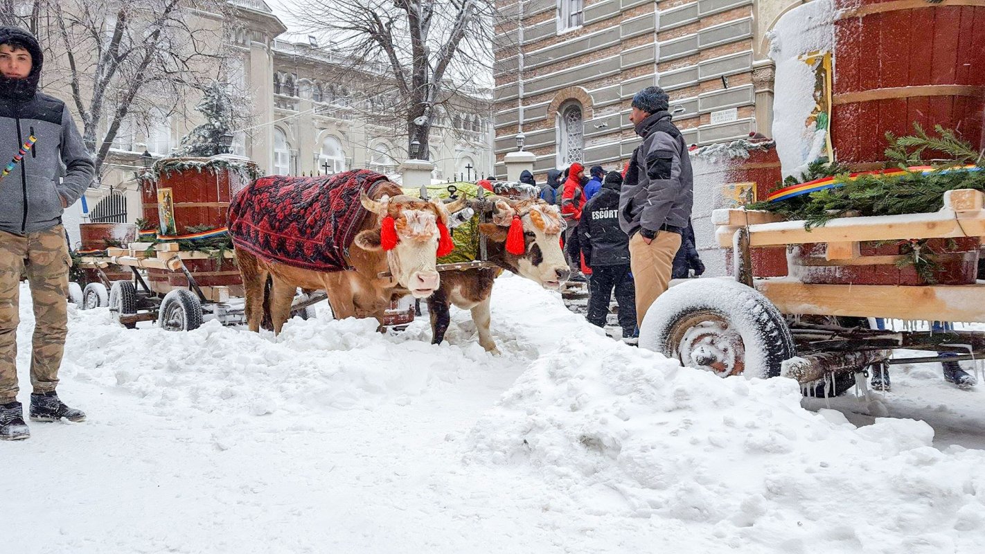 Sărbătoarea Botezului Domnului în Muntenia şi Dobrogea 46580