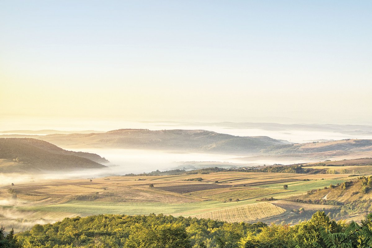 Desăvârșiți în vorbă și nedesăvârșiți în faptă 46401