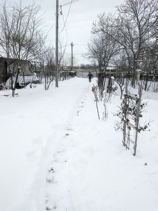 Persoanele afectate de ger, ninsori și viscol, ajutate de preoți 46310