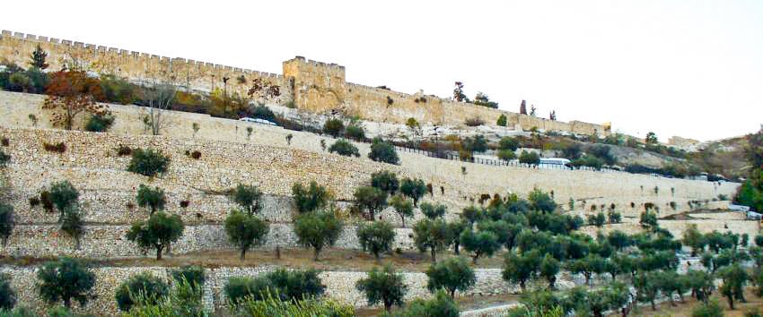 Protosinghelul, pictorul și miniaturistul Veniamin Acojocăriţei - file de jurnal (III) 46340