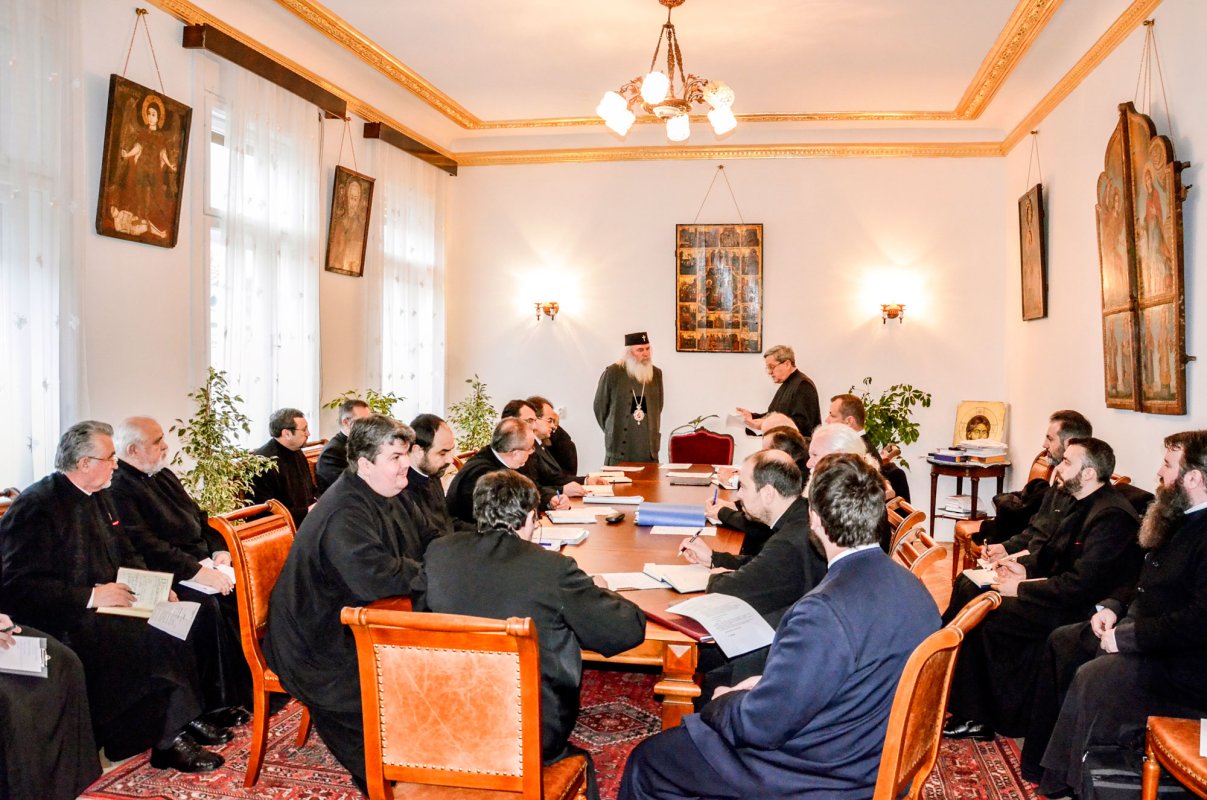 Raport-sinteză privind activităţile desfăşurate în anul 2016 46164