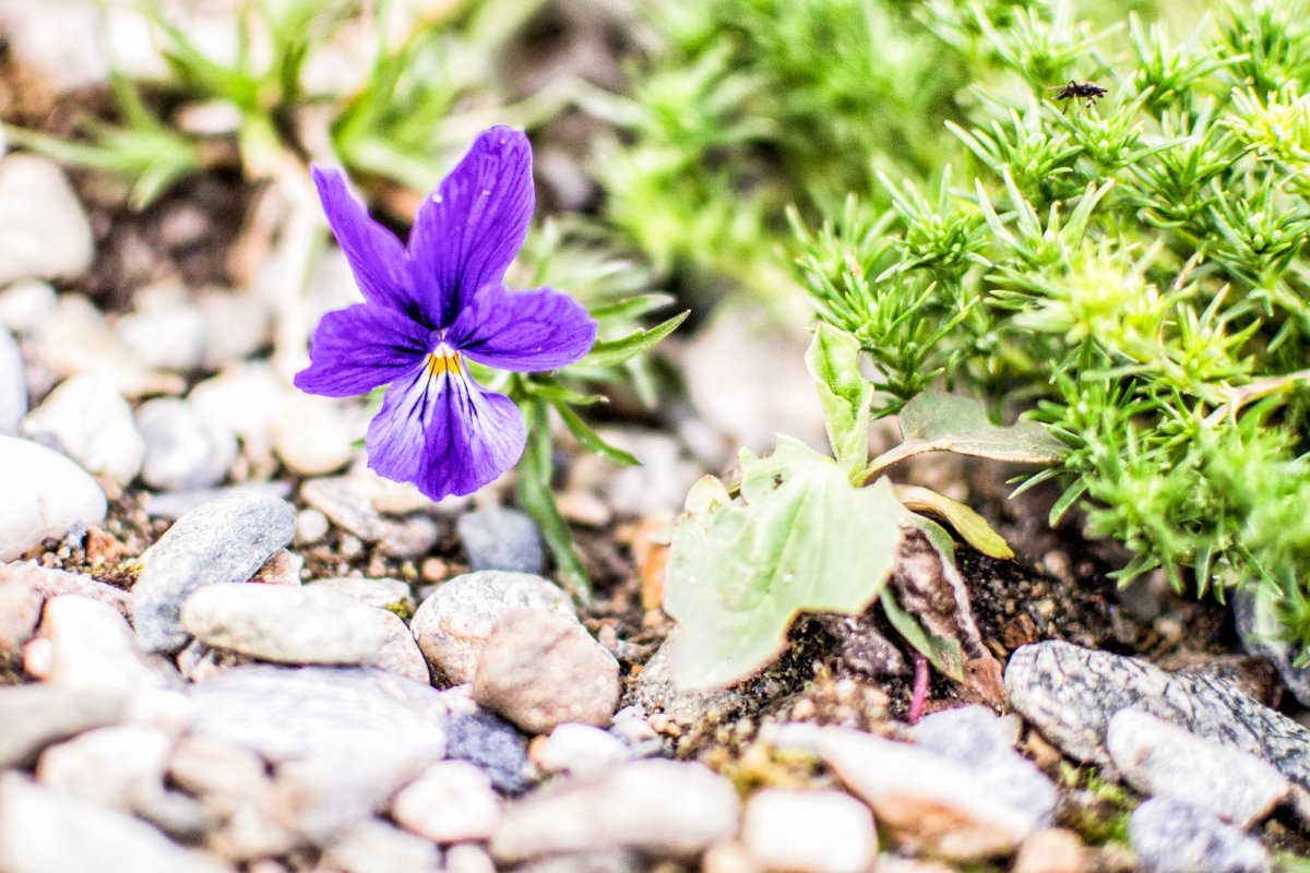 Nu vorbi pe nimeni de rău 46034