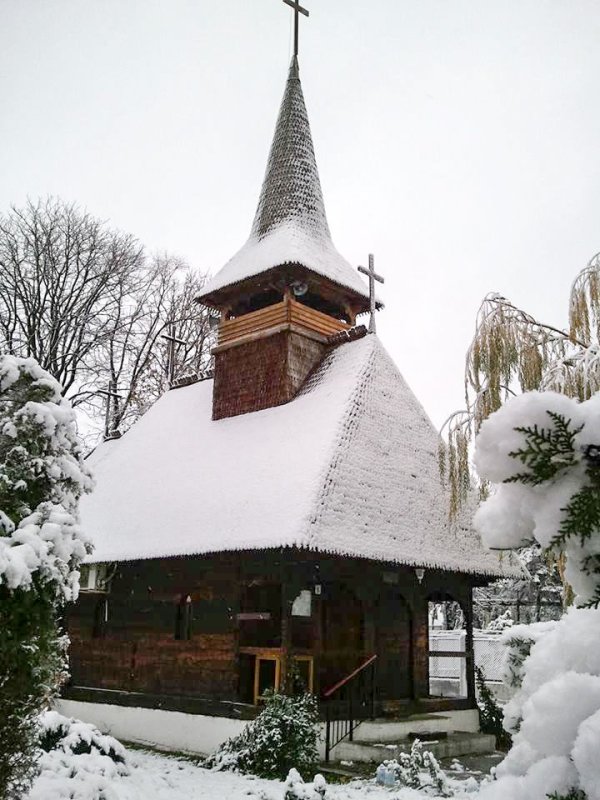 Bilanţ al faptelor bune din anul 2016 45896