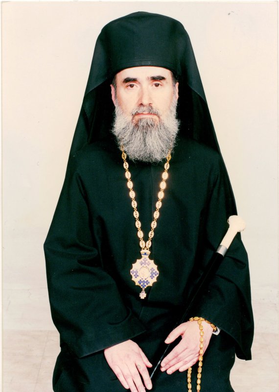 „Îți lăsa sentimentul bucuriei întâlnirii” 45907