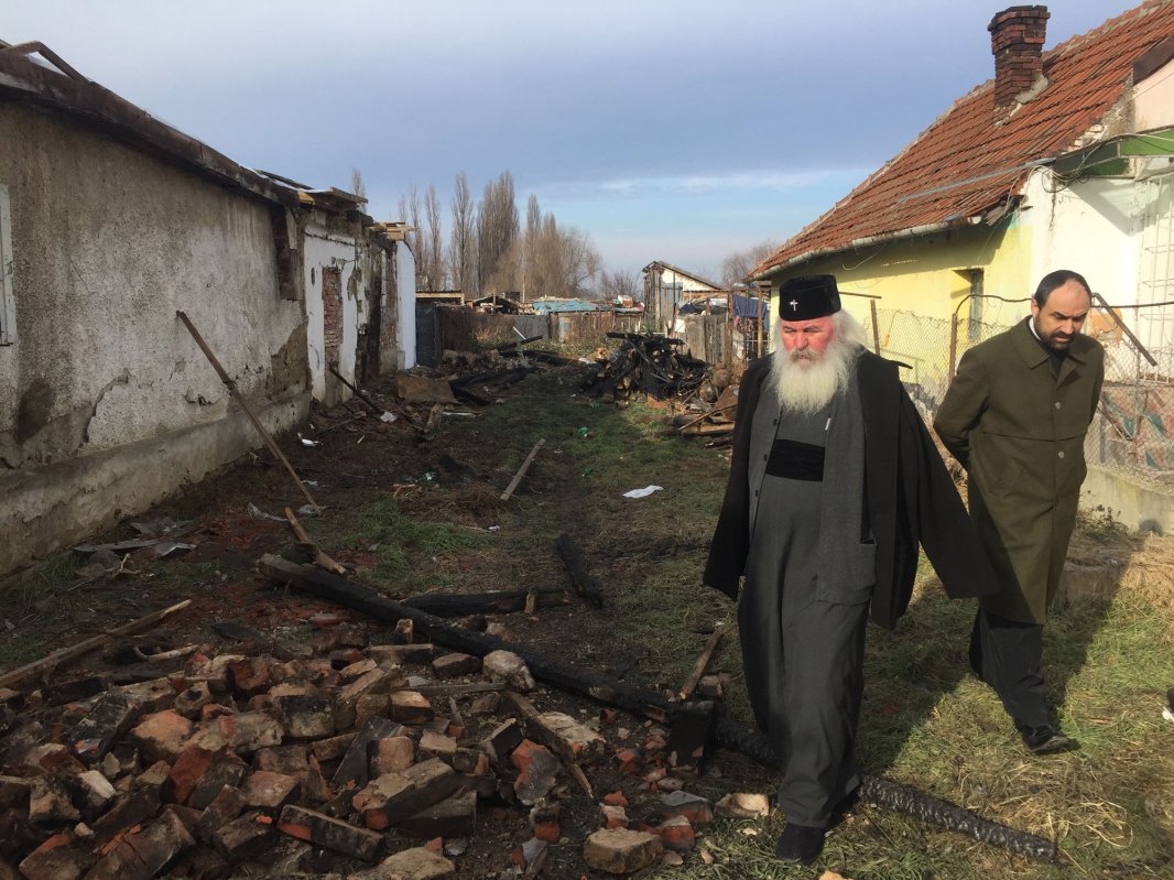 Mângâiere pentru trei familii greu încercate 45751