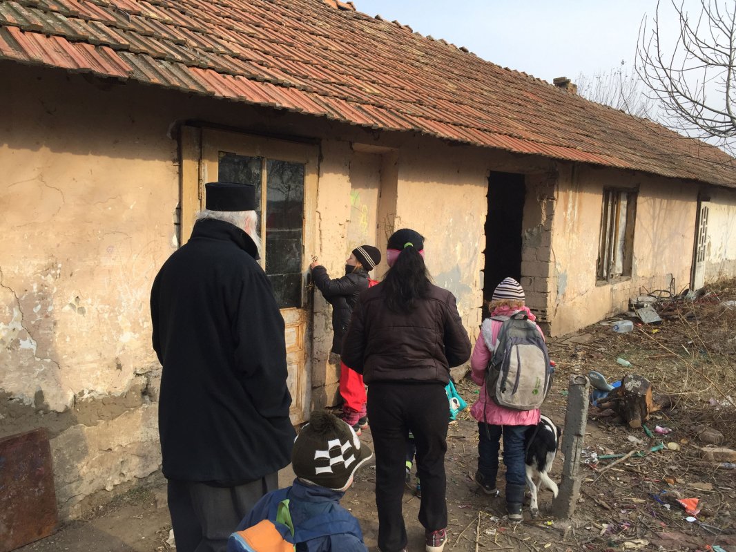 Mângâiere pentru trei familii greu încercate 45752